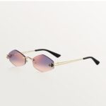 PANTHÈRE DE CARTIER SUNGLASSES