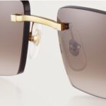 Panthére de Cartier Brown - Imagen 6